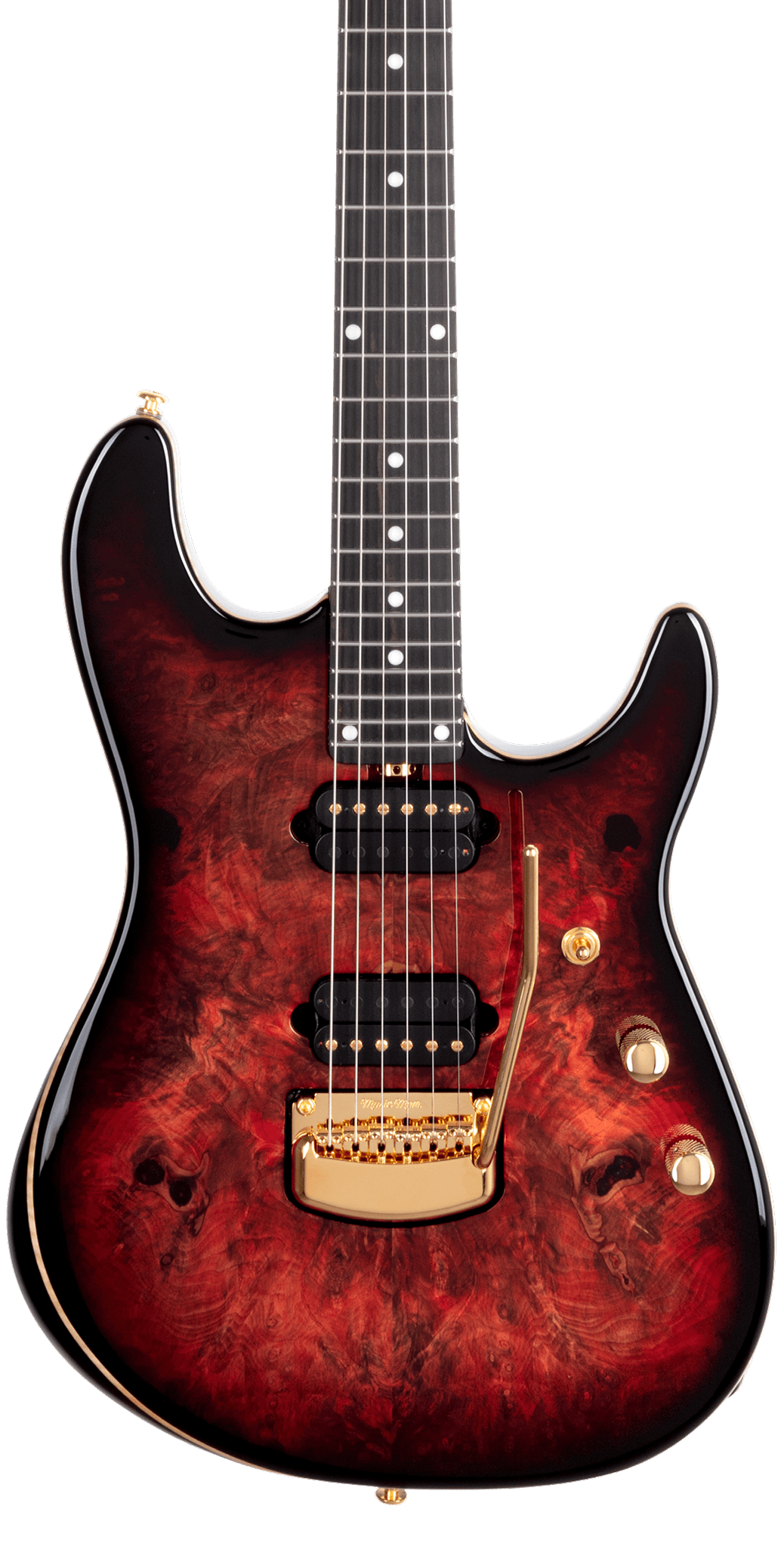 Jason Richardson Signature Guitar
